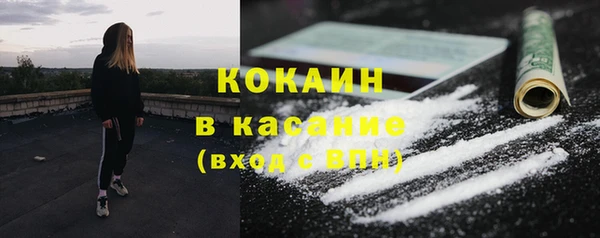 стафф Алзамай