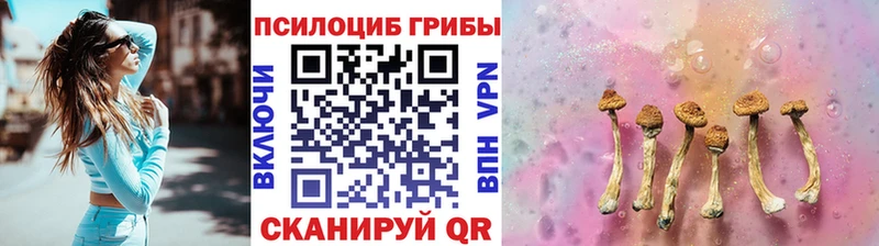 Псилоцибиновые грибы Psilocybe  сколько стоит  Полярные Зори 